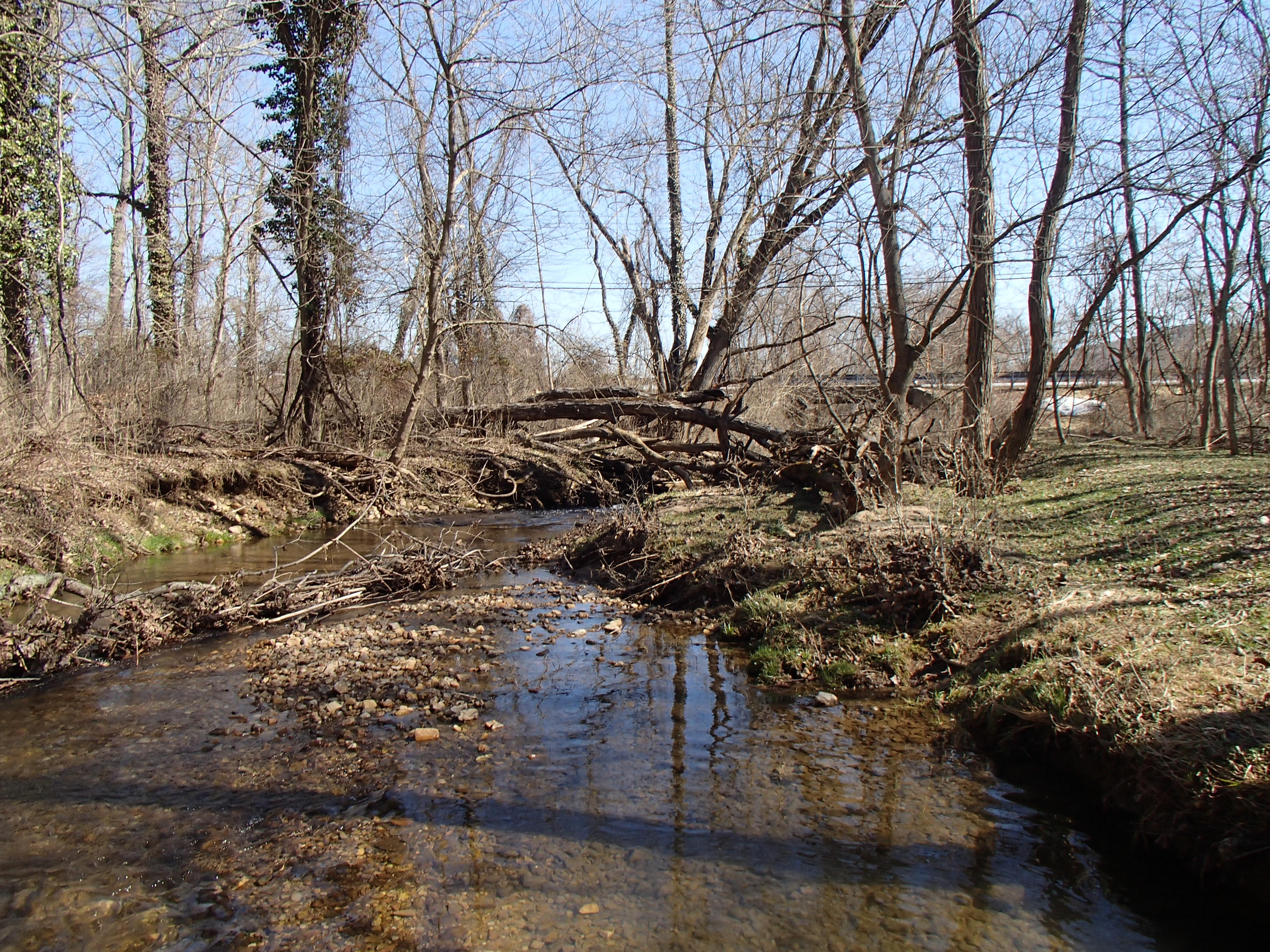Field photo showing stream conditions at site JONE-213-R-2016_Midpoint downstream